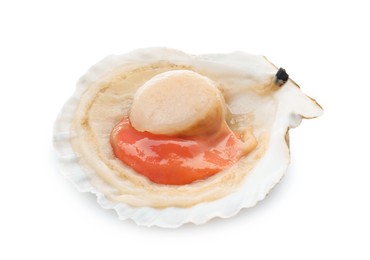 Photo of Fresh raw scallop in shell isolated on white