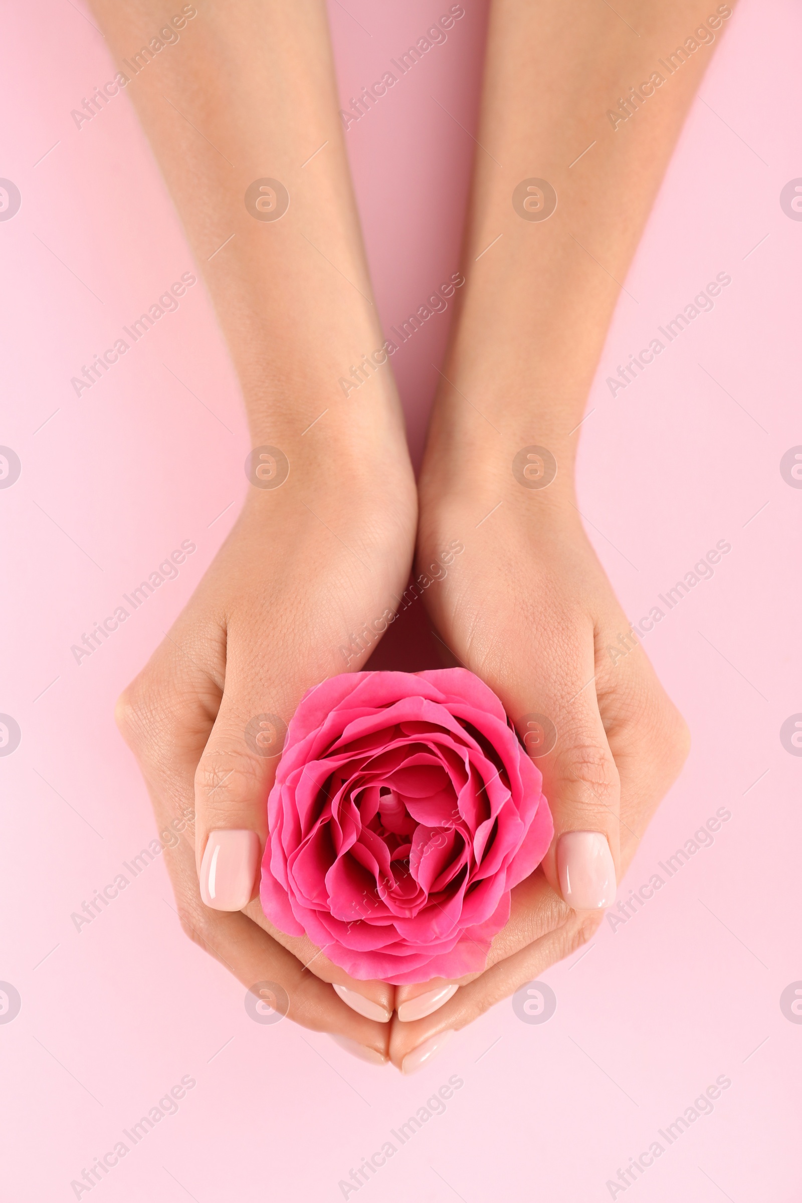 Photo of Closeup view of woman with rose on color background. Spa treatment