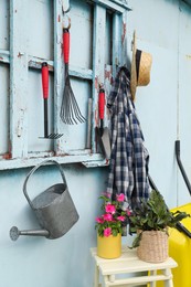 Beautiful plants, gardening tools and accessories near metal wall
