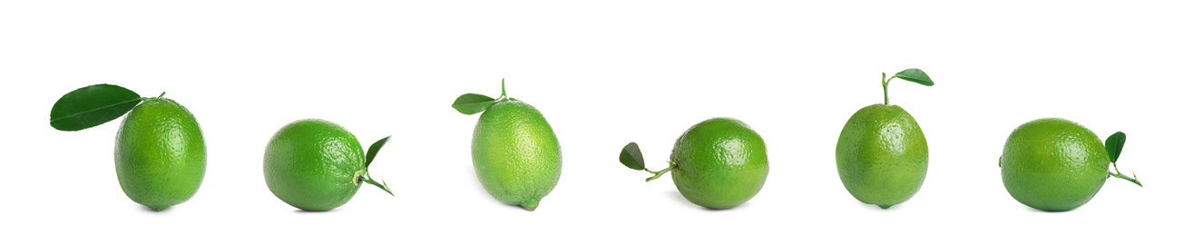 Image of Set of fresh ripe limes on white background. Banner design