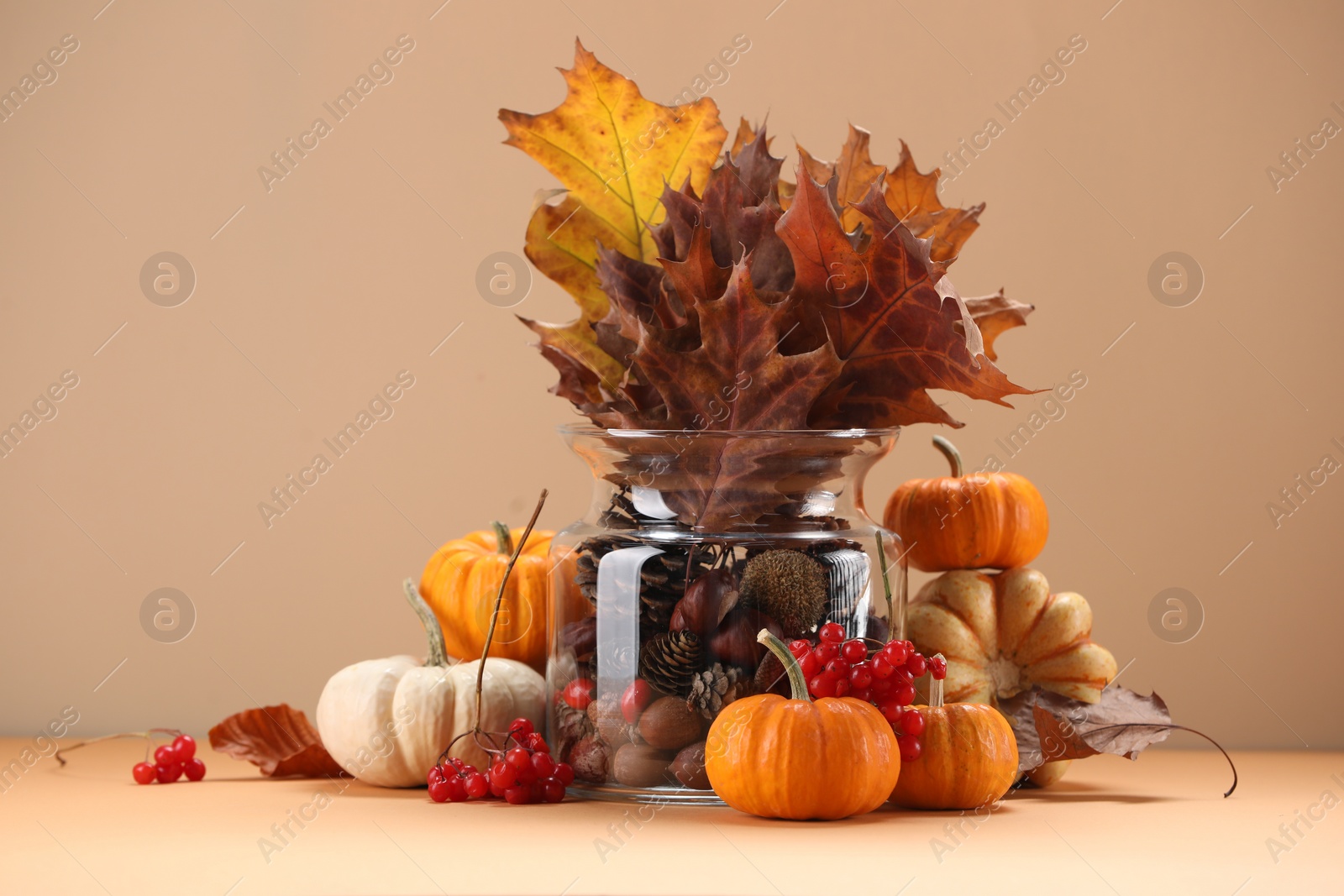 Photo of Composition with beautiful autumn leaves, berries and pumpkins on table against beige background