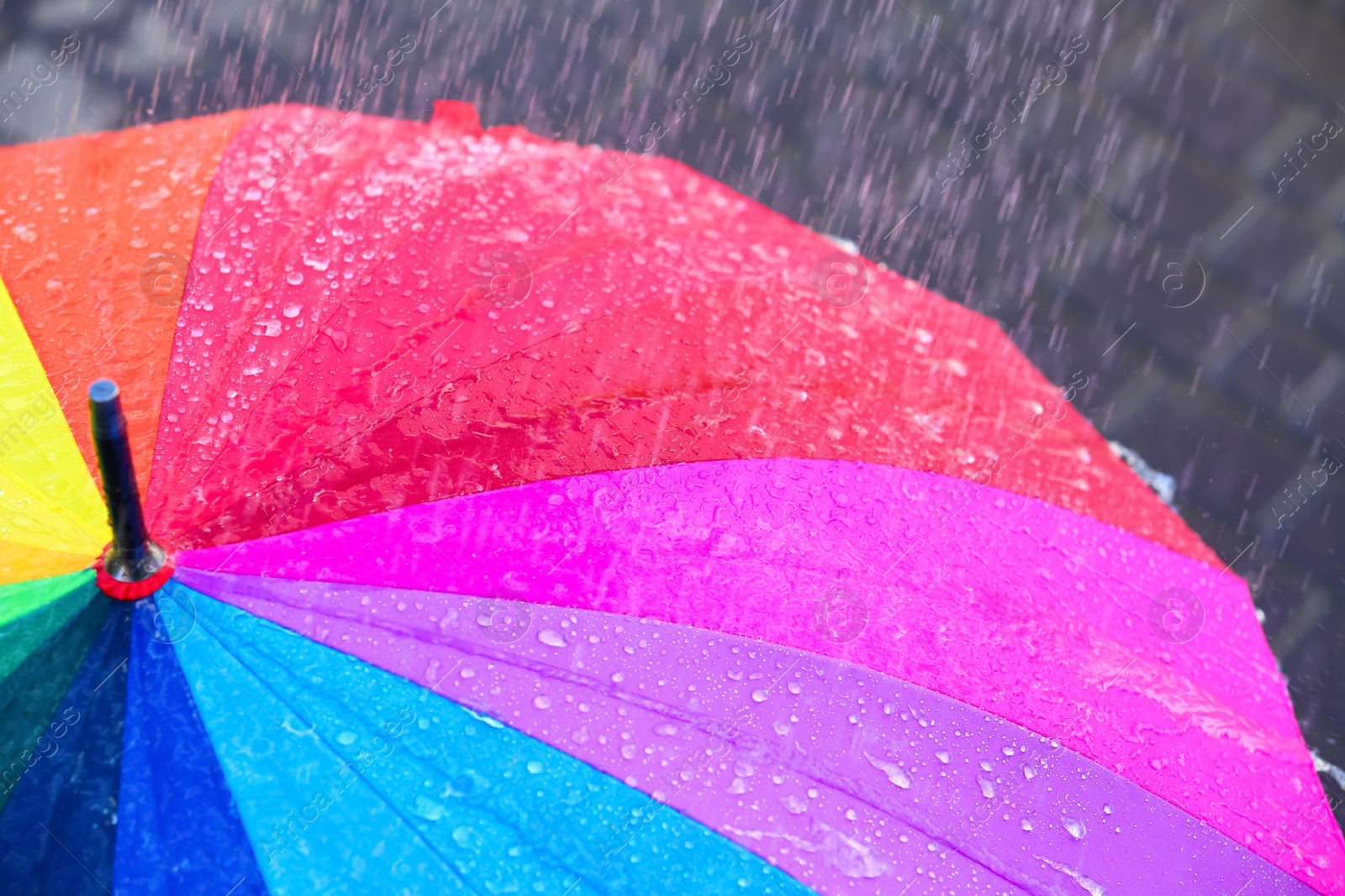 Photo of Bright color umbrella under rain outdoors, closeup