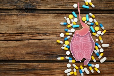 Photo of Paper intestine cutout and pills on wooden background, flat lay. Space for text