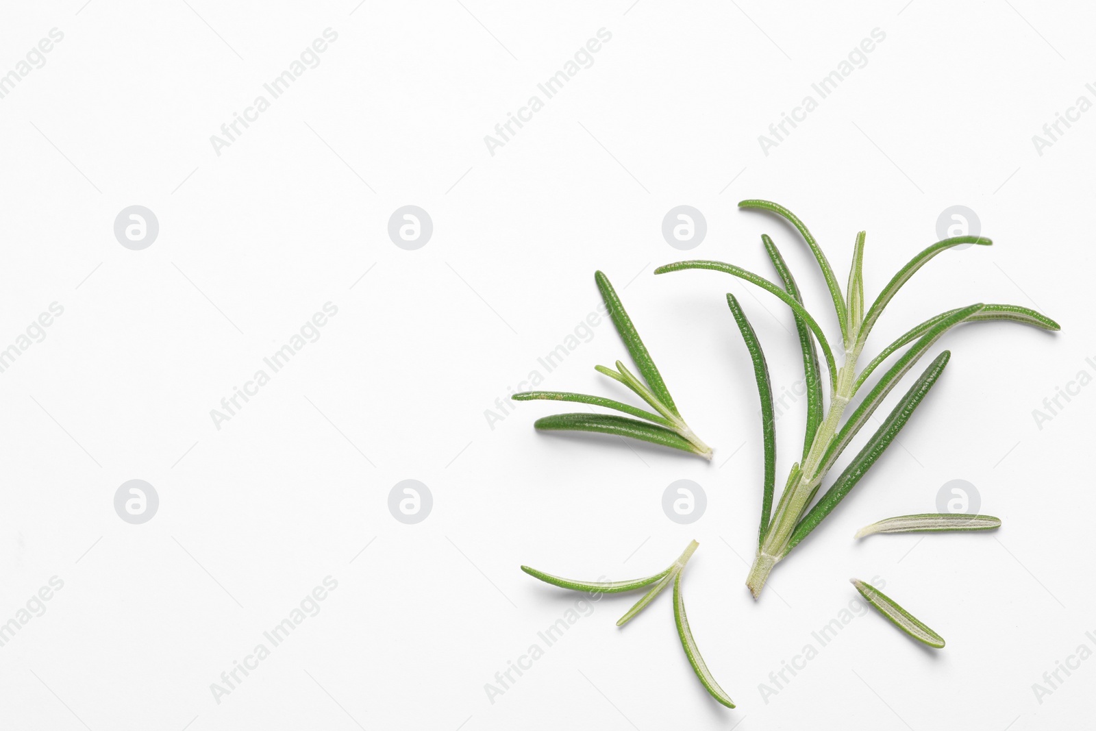 Photo of Sprigs of fresh rosemary on white background, flat lay. Space for text