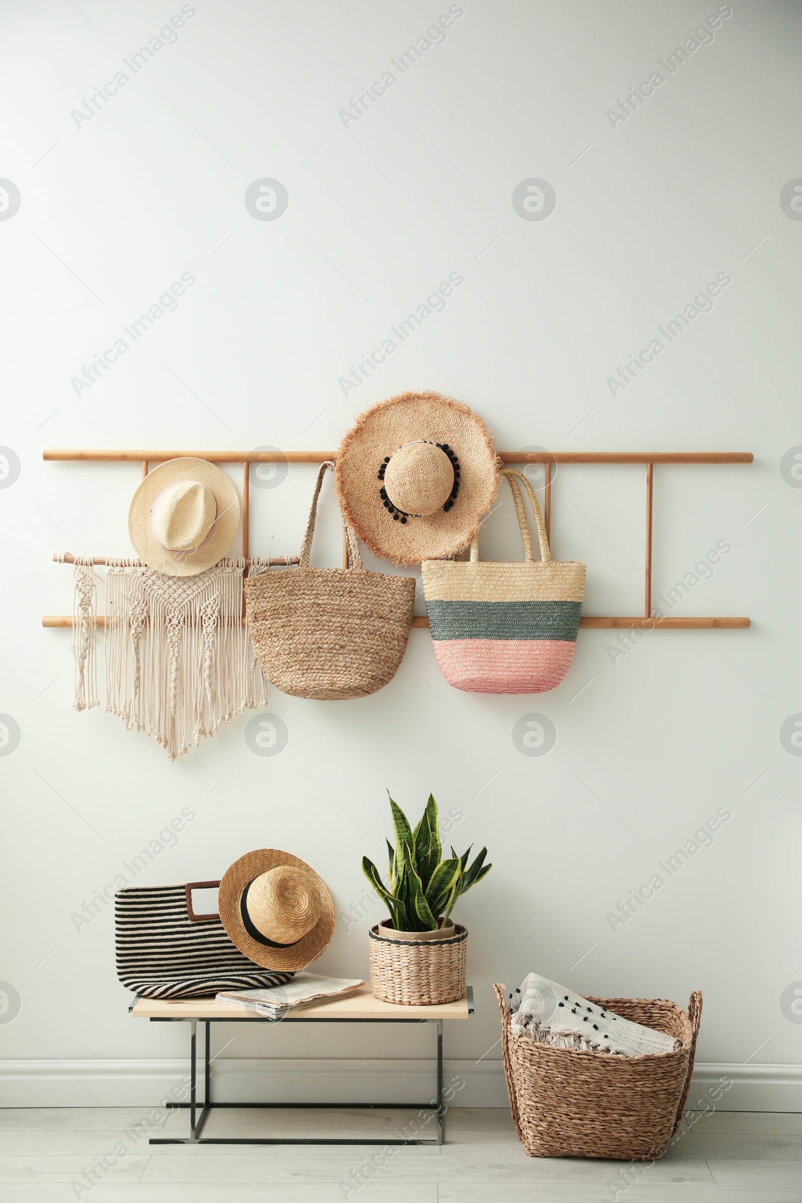 Photo of Decorative wooden ladder, bench and plant at home. Idea for interior design