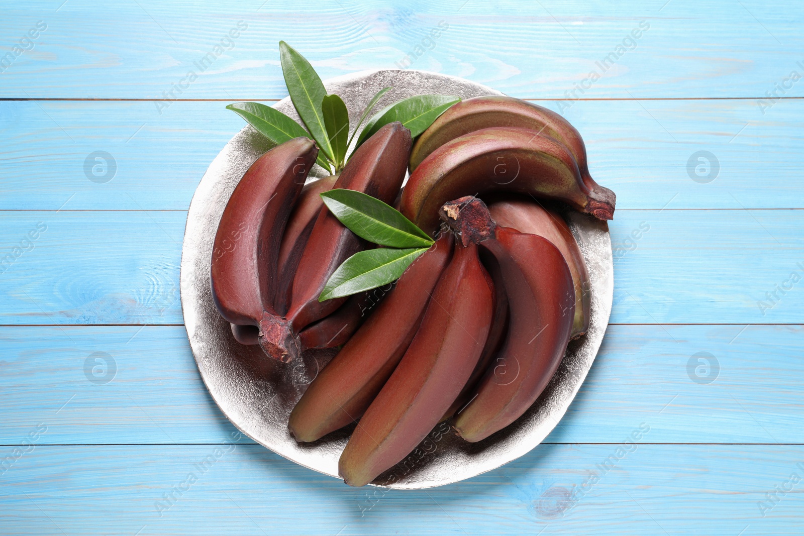 Photo of Tasty red baby bananas on light blue wooden table, top view