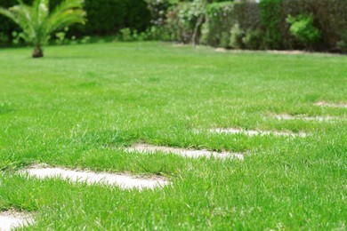 Photo of Beautiful garden with bright green grass and path