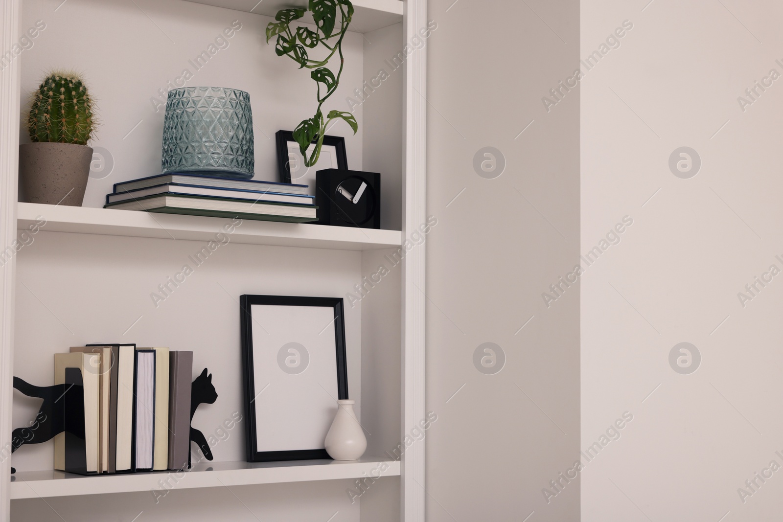 Photo of Interior design. Shelves with stylish accessories, potted plant and books indoors. Space for text