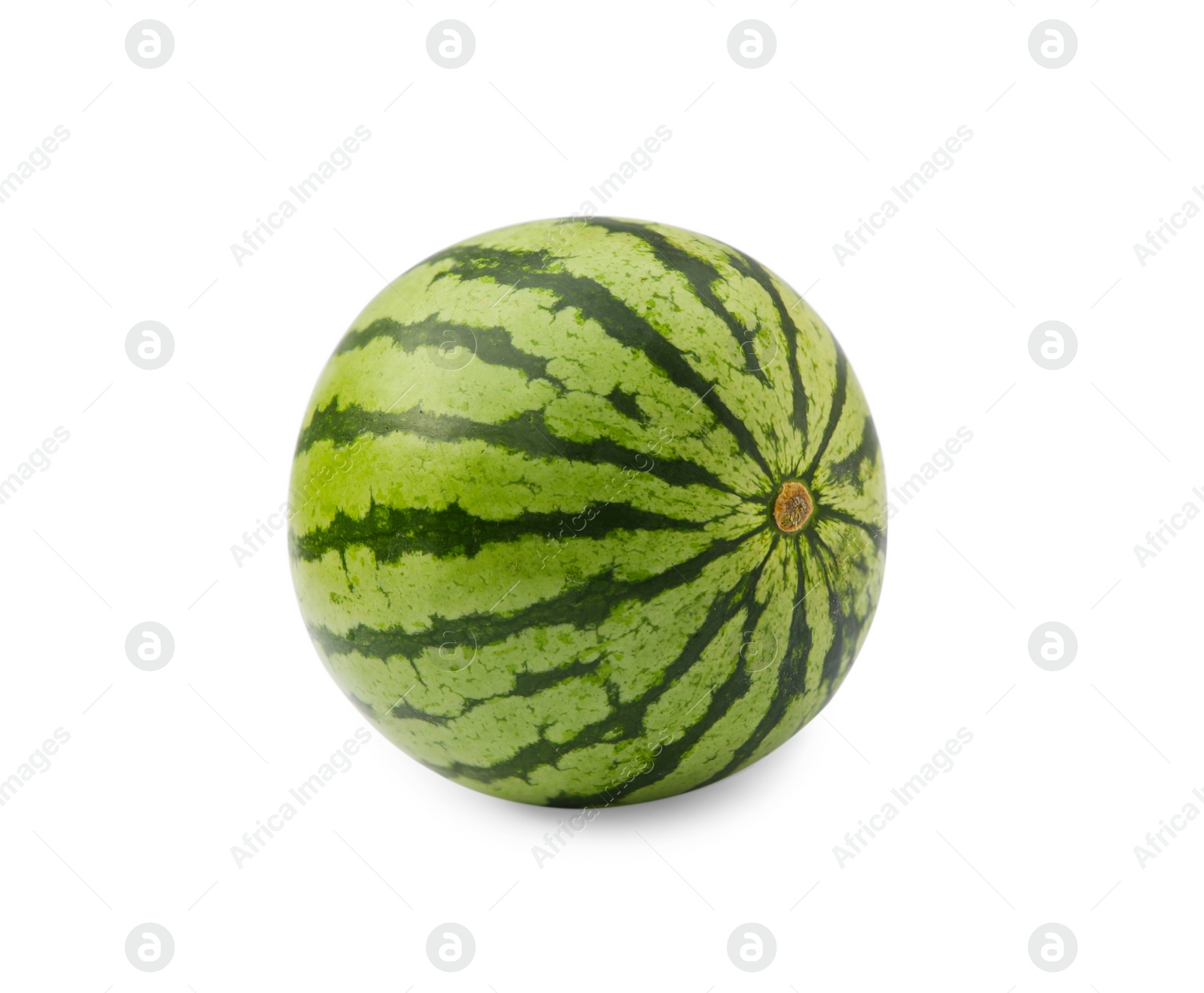 Photo of One whole ripe watermelon isolated on white