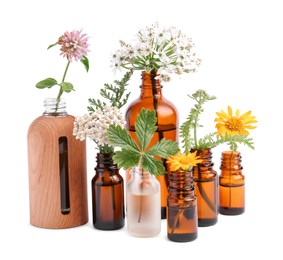 Photo of Many bottles of essential oils and different wildflowers on white background