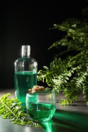 Photo of Absinthe in glass, spoon with brown sugar cubes and fern leaves on gray table against black background. Alcoholic drink