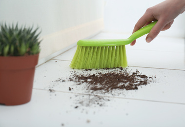 Photo of Woman sweeping away scattered soil from window sill with brush, closeup