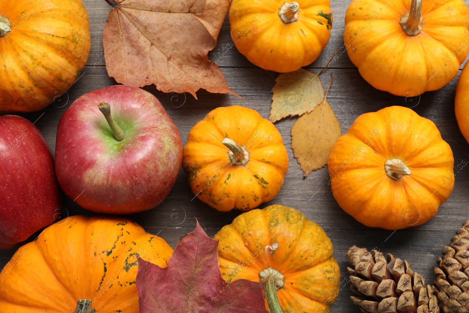 Photo of Thanksgiving day. Flat lay composition with pumpkins on wooden table