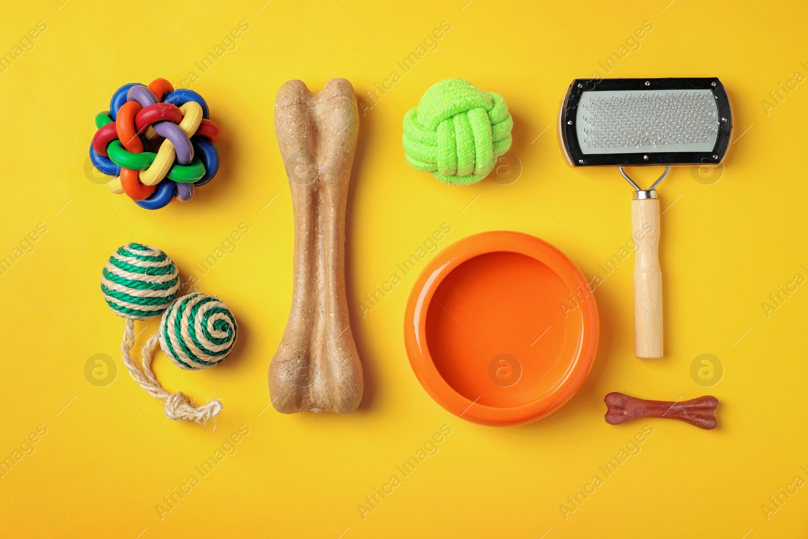 Photo of Flat lay composition with accessories for dog and cat on color background. Pet care