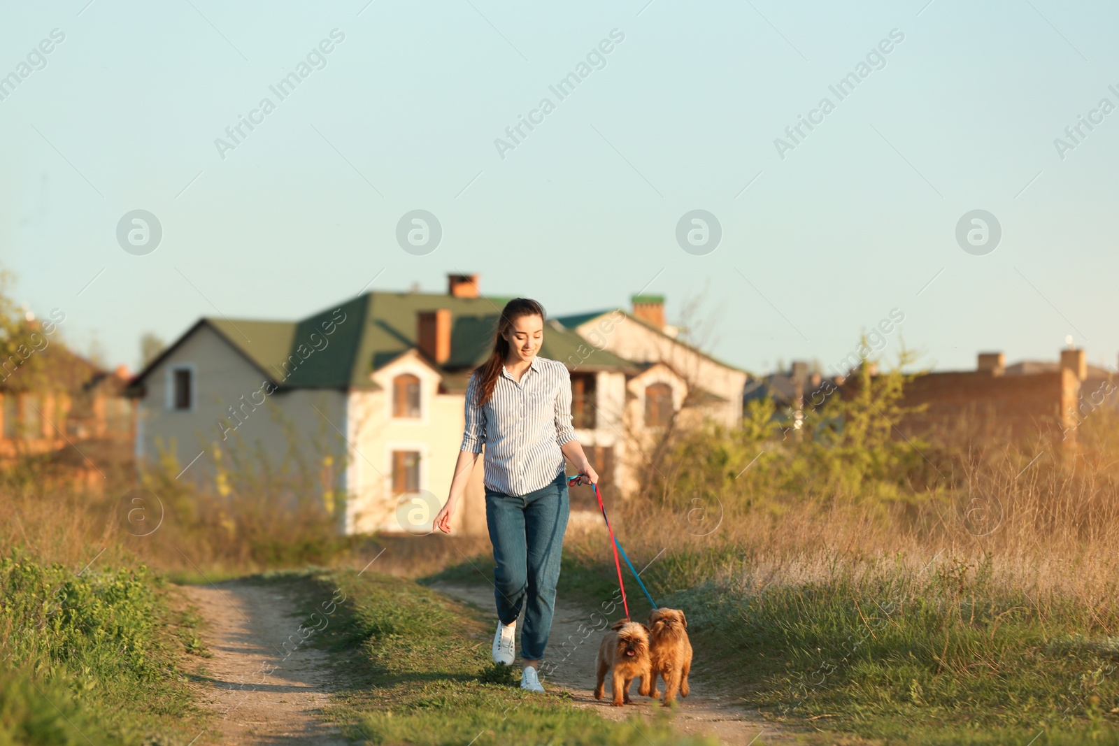 Photo of Young woman walking her adorable Brussels Griffon dogs outdoors