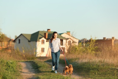 Young woman walking her adorable Brussels Griffon dogs outdoors