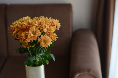 Bouquet of beautiful chrysanthemum flowers in vase near sofa indoors, closeup. Space for text