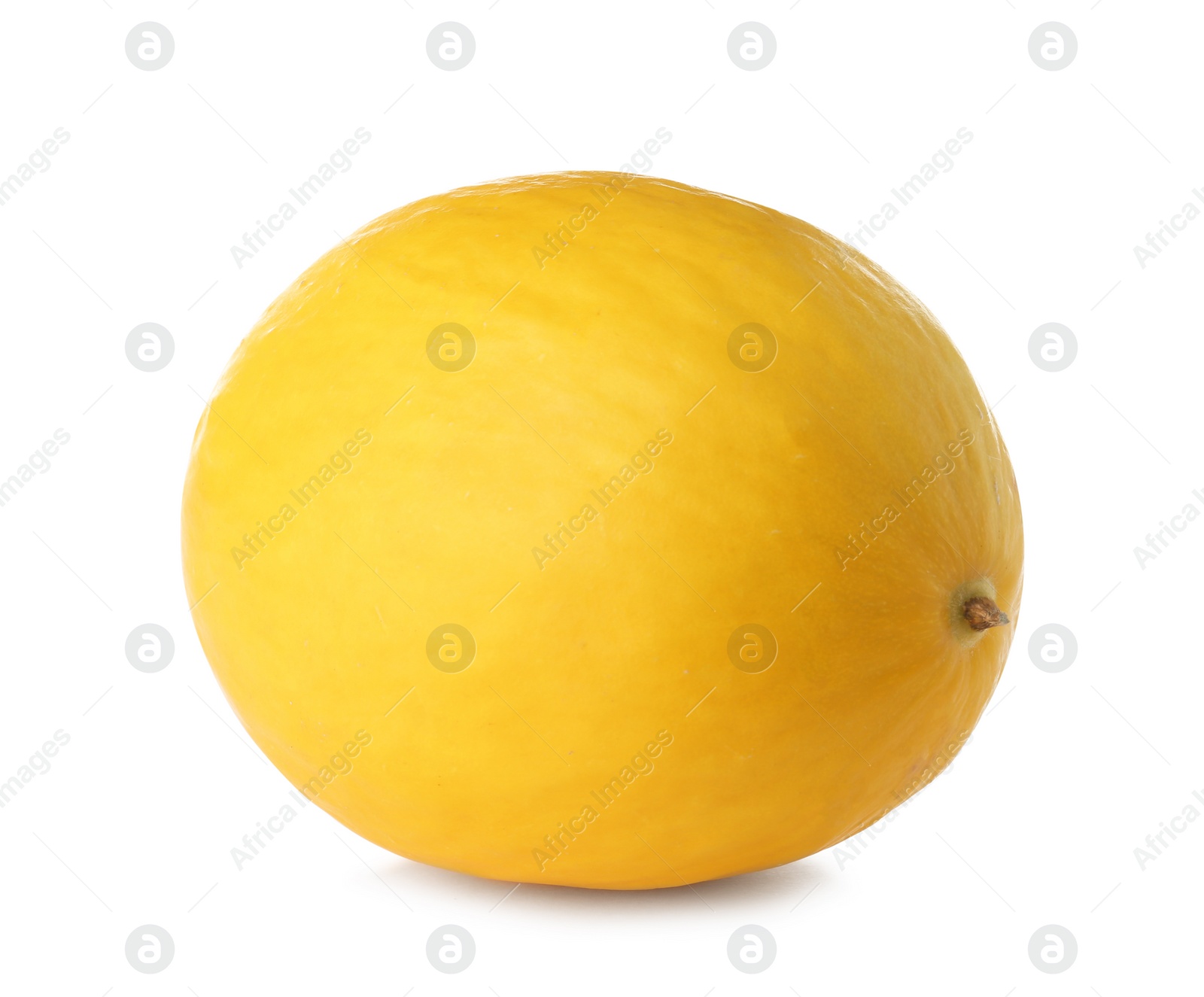 Photo of Whole tasty ripe melon on white background