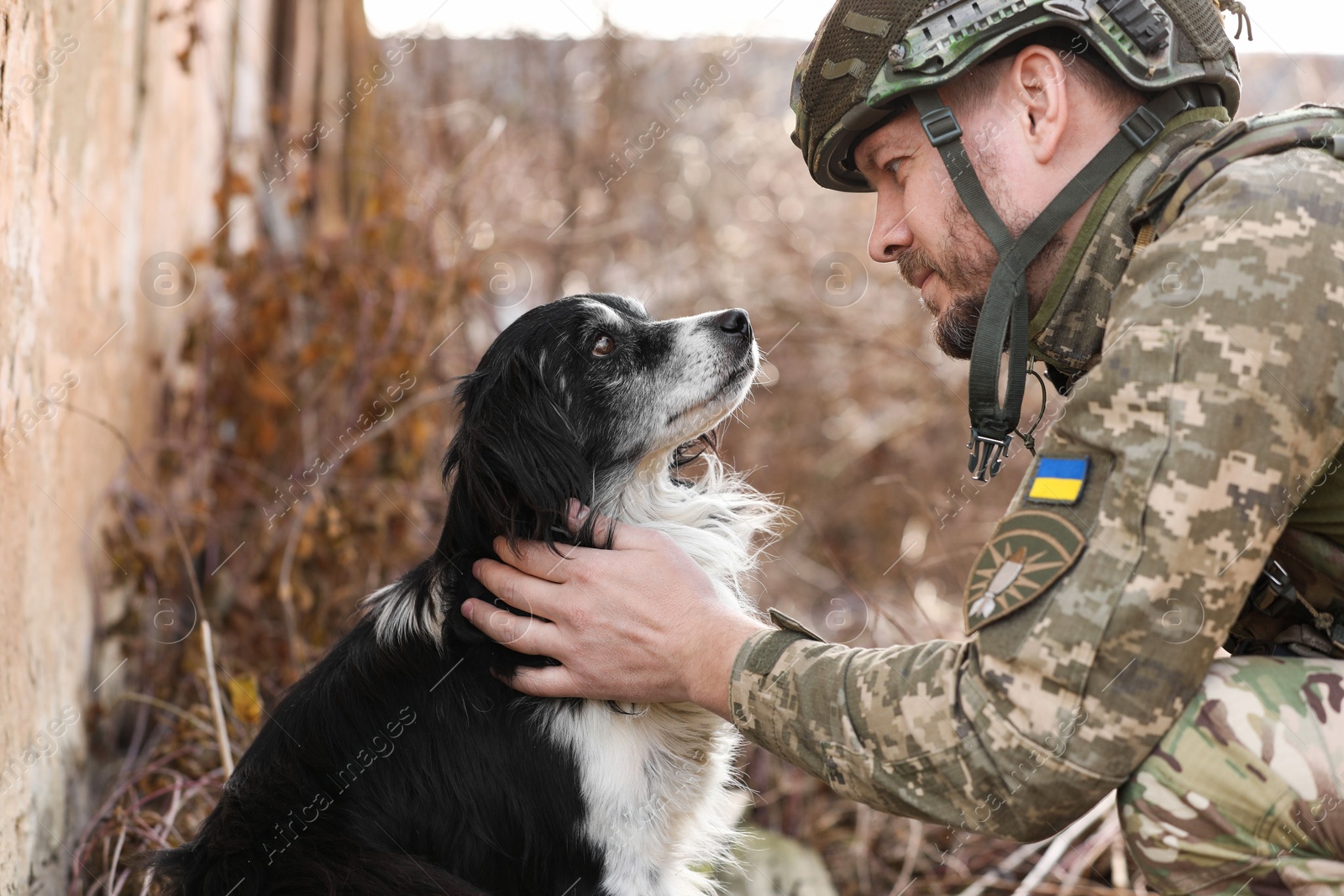 Photo of Ukrainian soldier petting frightened stray dog outdoors