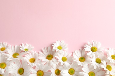 Photo of Beautiful chamomile flowers on color background, flat lay with space for text