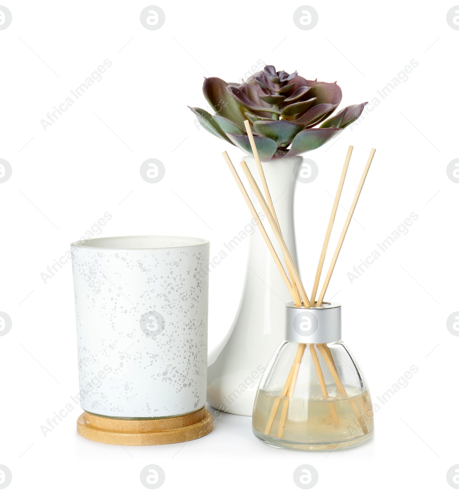 Photo of Reed air freshener, aromatic candle and plant in vase on white background