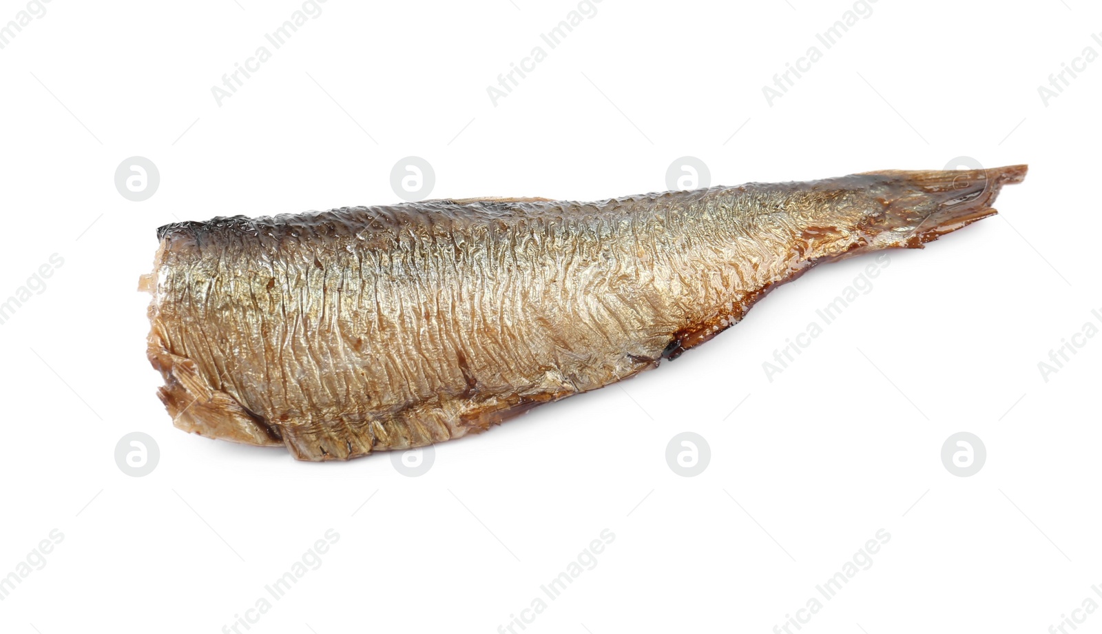 Photo of One tasty canned sprat isolated on white