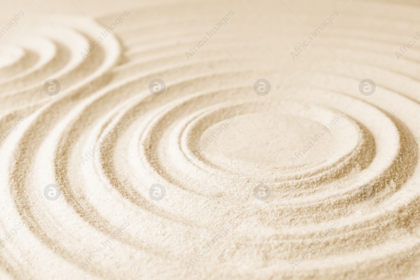 Photo of Zen garden pattern on sand. Meditation and harmony