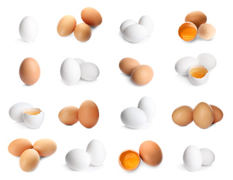 Image of Set of whole and broken eggs on white background