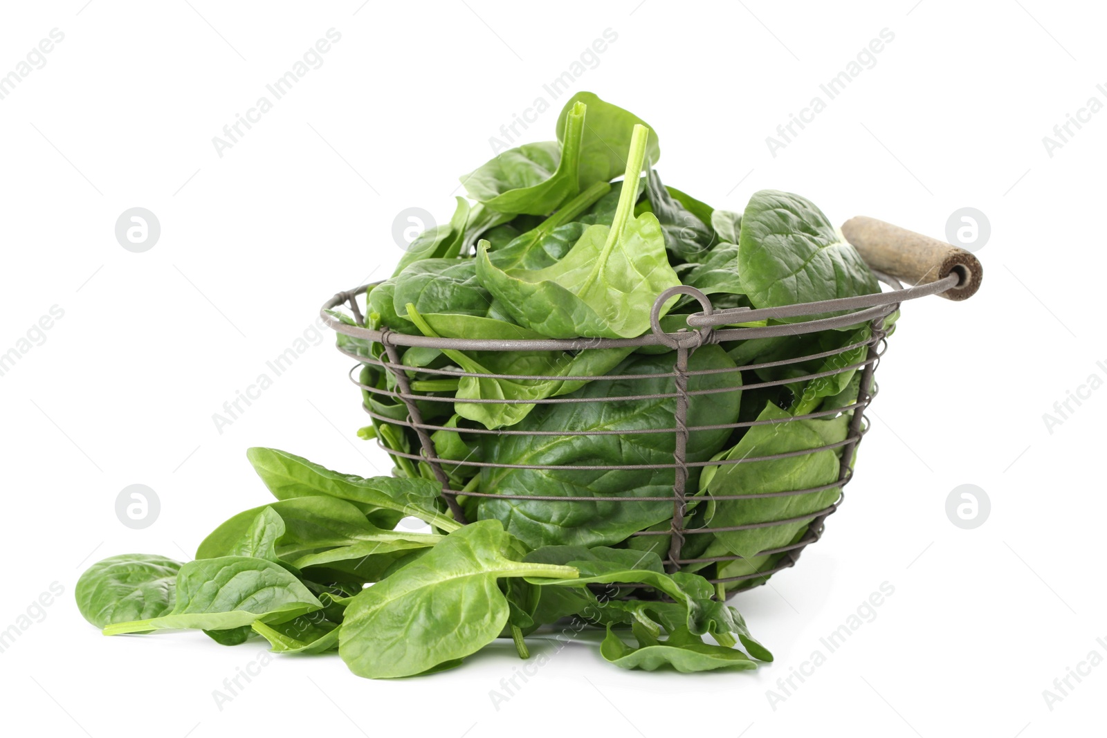 Photo of Basket and spinach leaves isolated on white