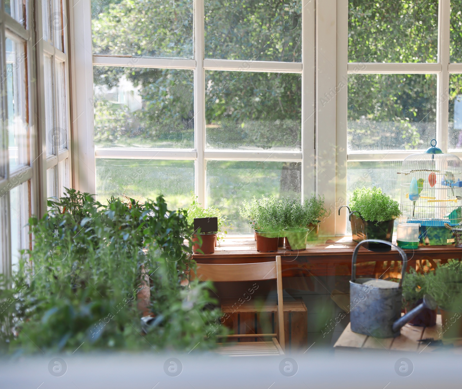 Photo of Shop with potted home plants and young woman, view through window