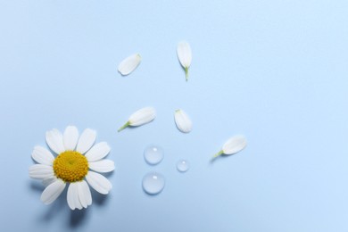 Drops of cosmetic serum, chamomile flower and petals on light blue background, flat lay. Space for text