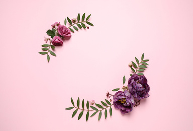 Floral composition with beautiful flowers on pink background, flat lay. Space for text