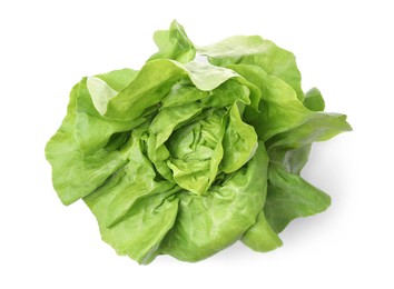 Fresh green butter lettuce head isolated on white, top view