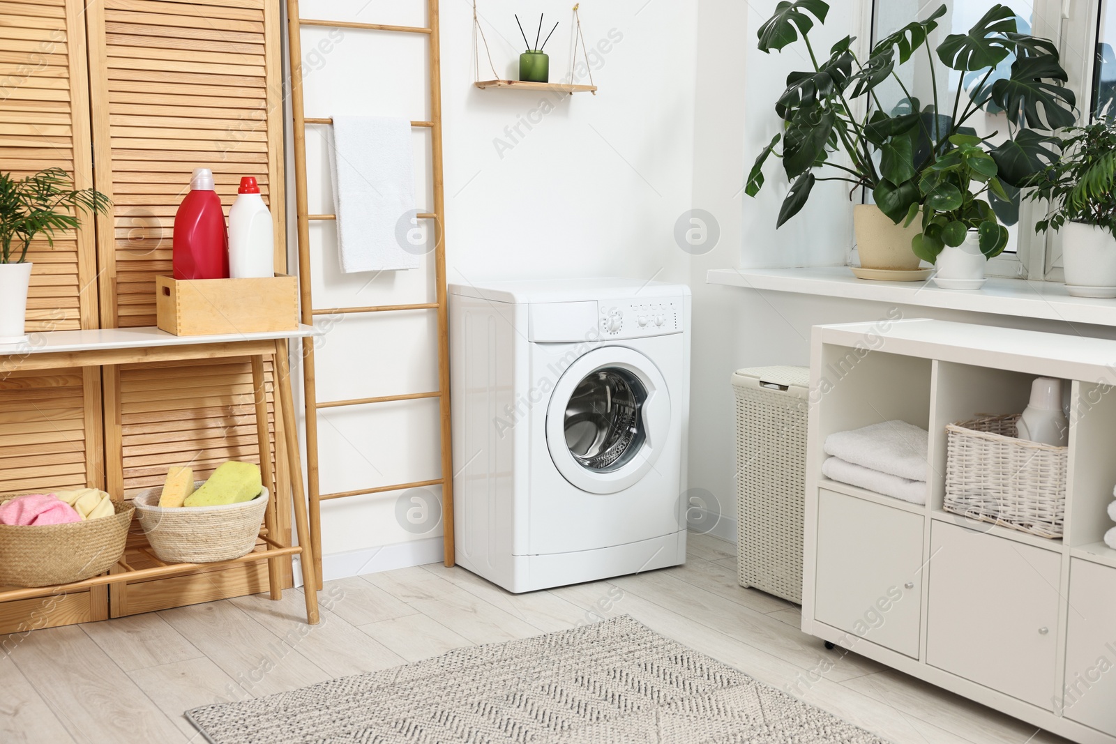 Photo of Laundry room interior with washing machine, houseplants and furniture