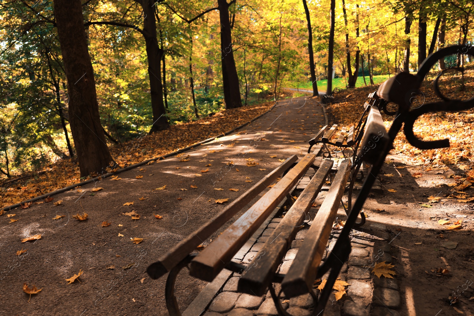 Photo of Wooden benches, pathway, fallen leaves and trees in beautiful park on autumn day