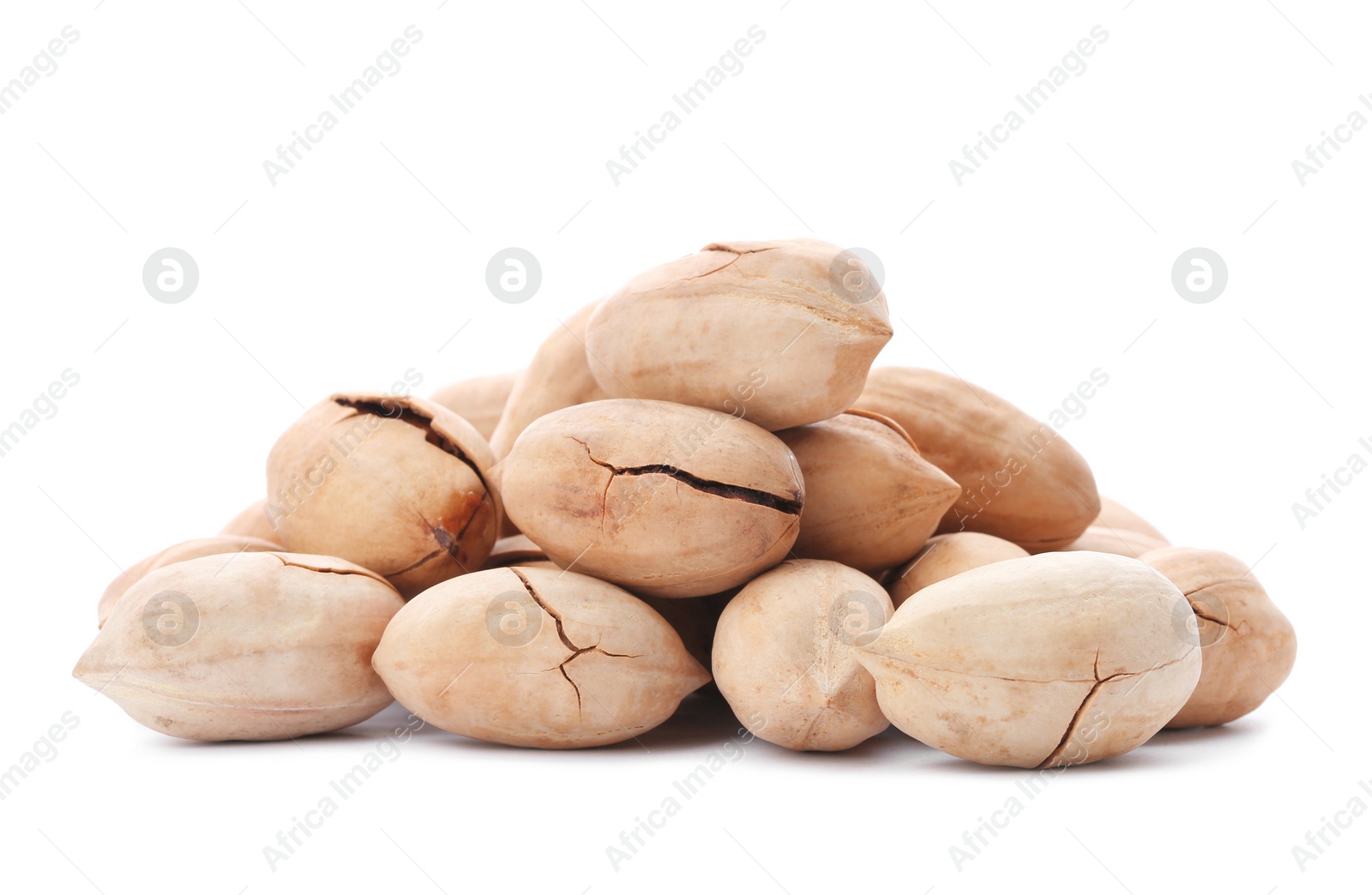 Photo of Heap of pecan nuts in shell on white background