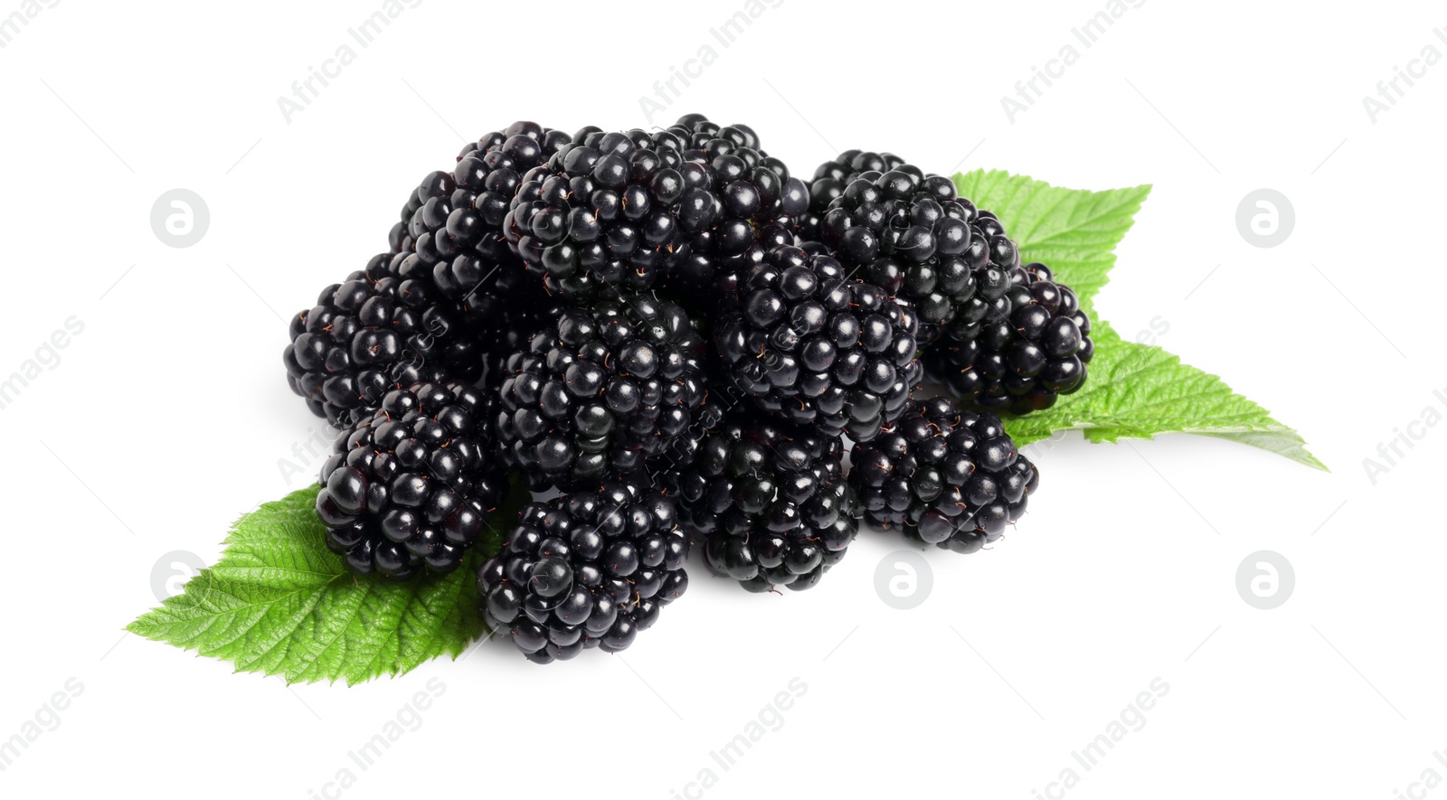 Photo of Pile of ripe blackberries with green leaves isolated on white