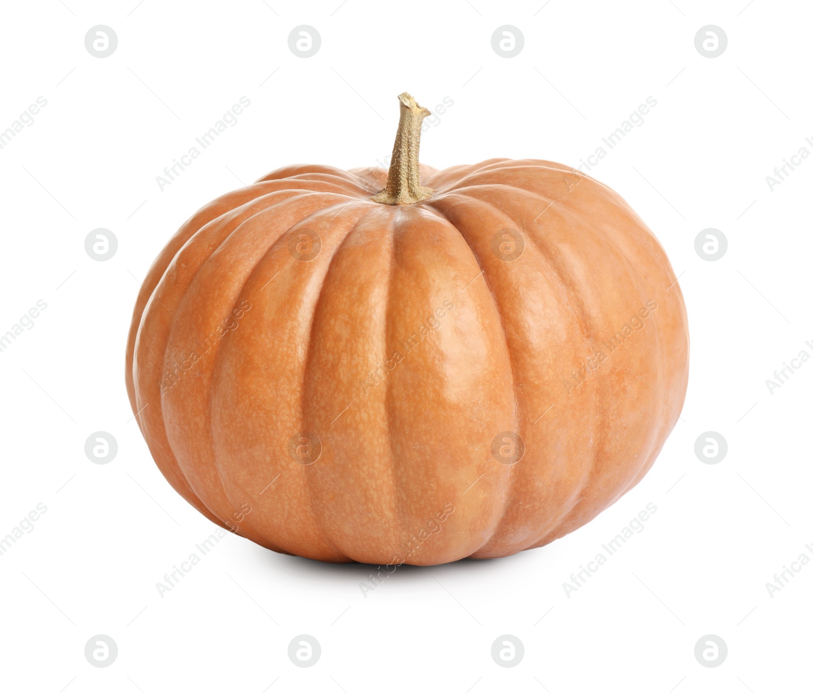 Photo of Fresh ripe pumpkin isolated on white. Organic plant