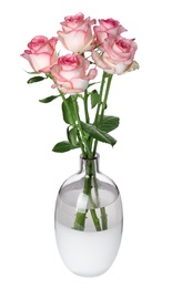 Photo of Vase with beautiful pink roses isolated on white