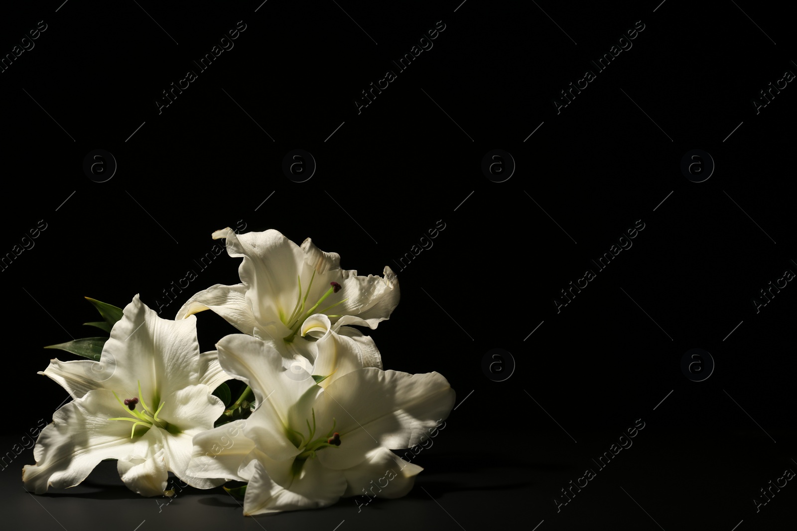 Photo of Beautiful lilies on dark background with space for text. Funeral flowers