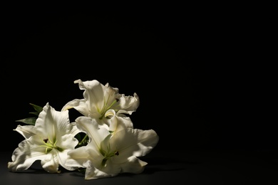 Photo of Beautiful lilies on dark background with space for text. Funeral flowers