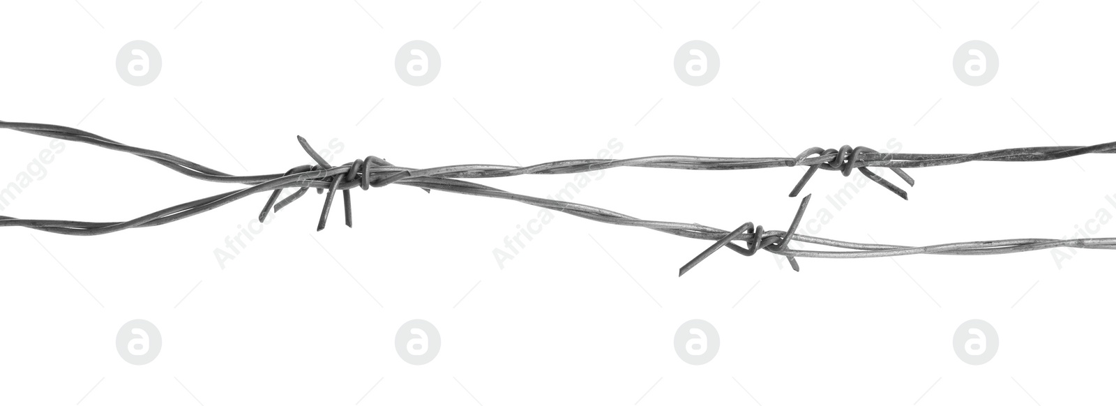 Photo of Shiny metal barbed wire isolated on white