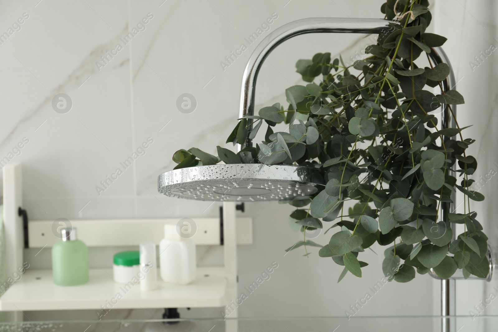 Photo of Branches with green eucalyptus leaves in shower