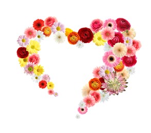 Image of Beautiful heart shaped composition made with tender flowers on white background
