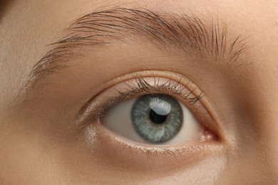 Photo of Woman with beautiful natural eyelashes, closeup view