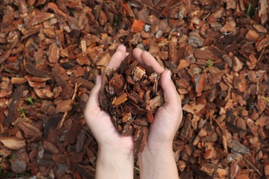 Photo of Woman holding bark chips in garden, top view