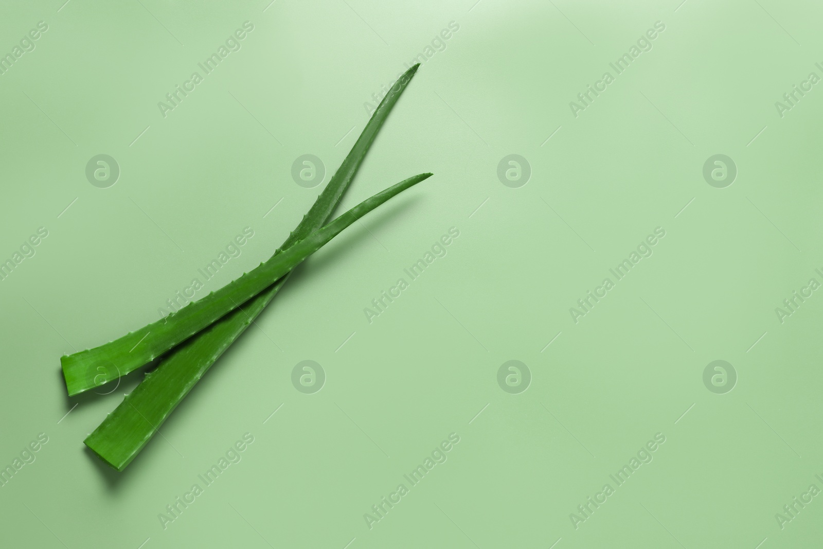 Photo of Fresh aloe vera leaves on light green background, flat lay. Space for text