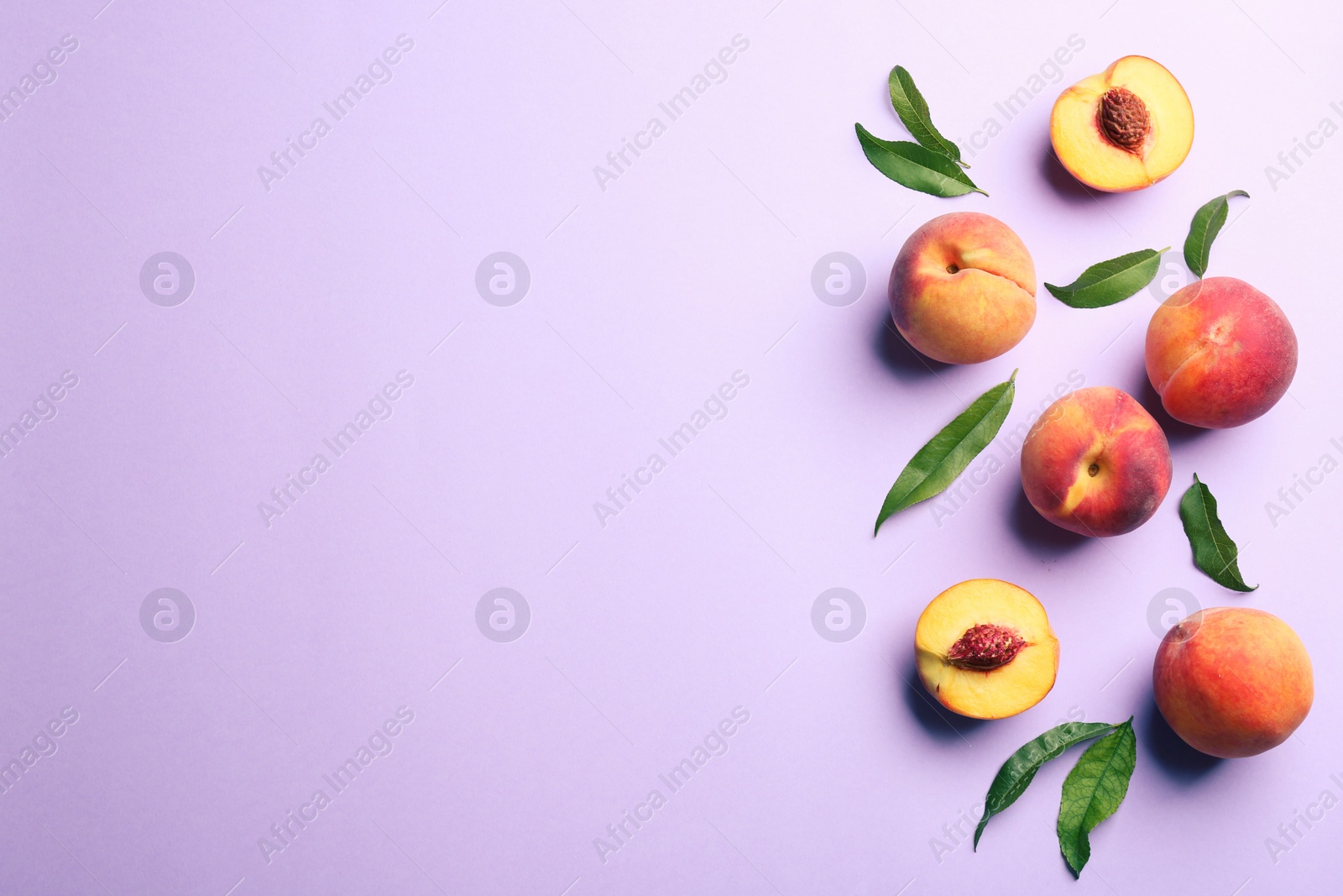 Photo of Fresh ripe peaches and green leaves on violet background, flat lay. Space for text