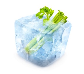 Image of Frozen food. Raw celery in ice cube isolated on white