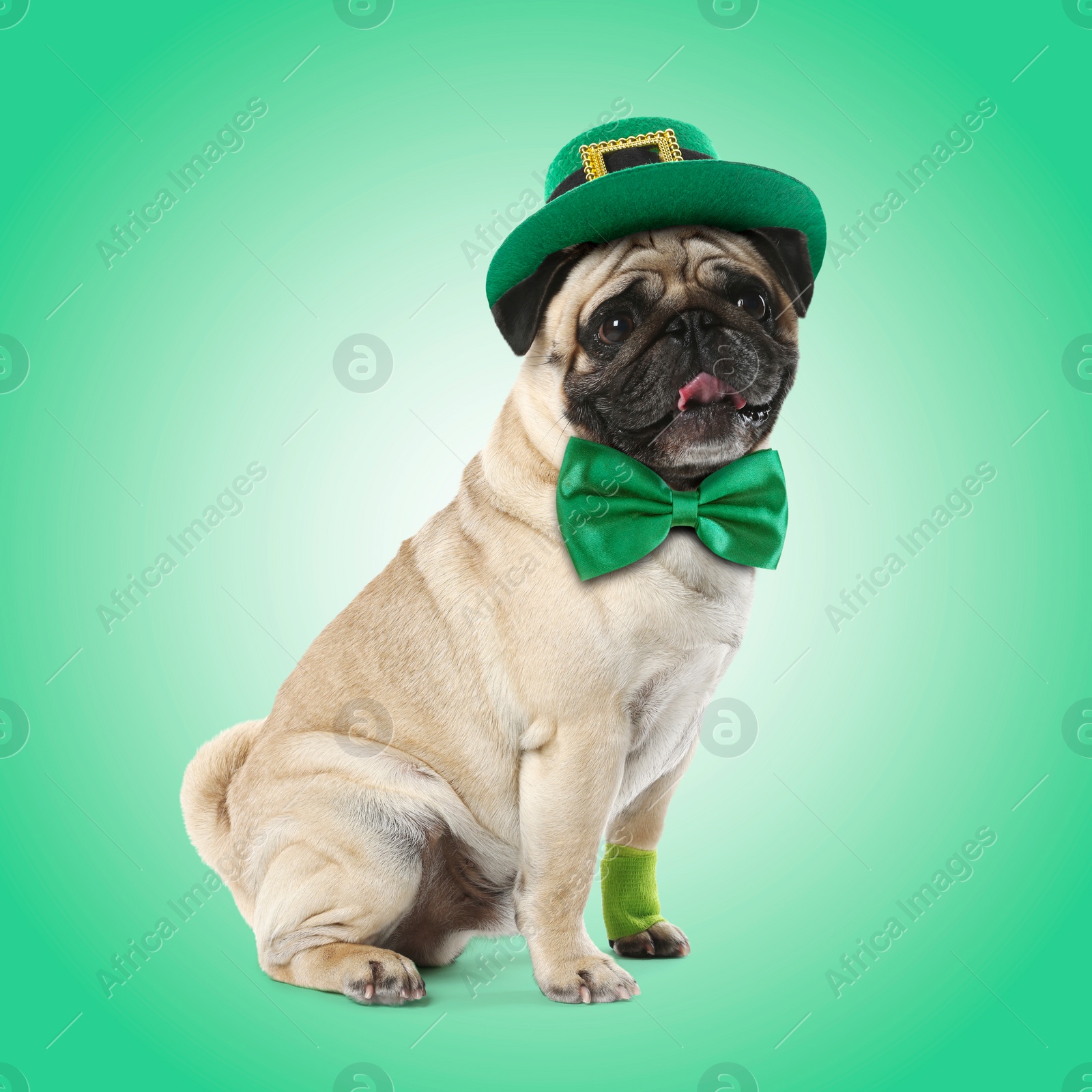 Image of St. Patrick's day celebration. Cute pug dog with bow tie and leprechaun hat on green background